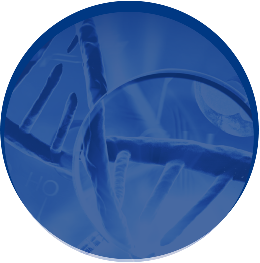 Illustrazione di una doppia elica di DNA vista attraverso una lente d'ingrandimento, utilizzata per rappresentare l'area specialistica "Scienze forensi" di Eurofins Genoma, specializzata nell'analisi genetica applicata alle indagini e alle scienze forensi.