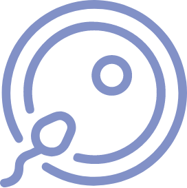 Illustrazione rappresentante un ovocita e uno spermatozoo, utilizzata per rappresentare la consulenza pre-concezionale e per la Procreazione Medicalmente Assistita (PMA) di Eurofins Genoma, finalizzata alla valutazione del rischio riproduttivo.