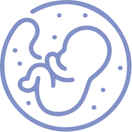 Illustrazione raffigurante un embrione utilizzata per rappresentare la consulenza prenatale di Eurofins Genoma, finalizzata a fornire supporto genetico durante la gravidanza e ad aiutare le coppie nella scelta del percorso di diagnosi prenatale più adatto.