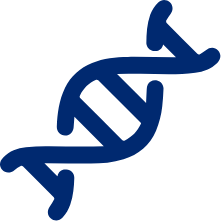 Illustrazione di una doppia elica di DNA, rappresentativa della competenza di Eurofins Genoma nel campo della genetica e della biologia molecolare.