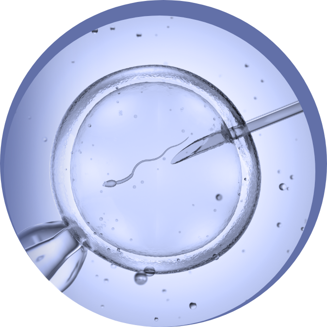 Immagine illustrativa del processo di fertilizzazione in vitro (IVF), rappresentativa dell'attività di Eurofins Genoma nei test genetici e nella Procreazione Medicalmente Assistita.